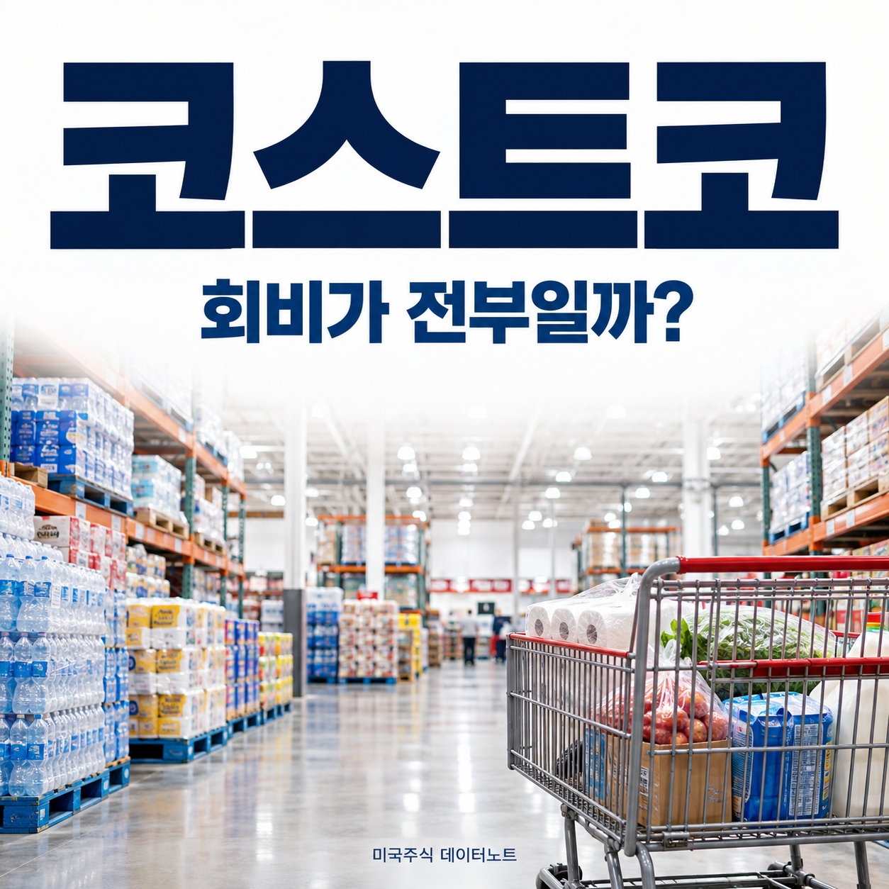 코스트코 회비 수입과 이익 성장의 관계를 다룬 창고형 매장 썸네일