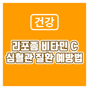 리포좀 비타민c
