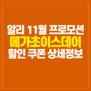 알리 11월 할인